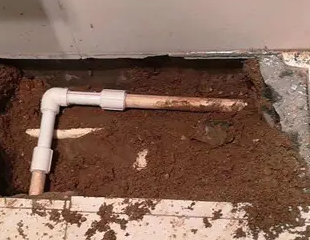 舟山测漏水哪家好